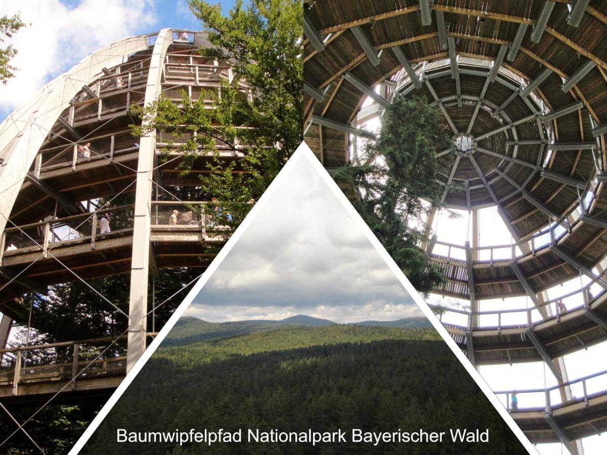 Ferienwohnung 32 Im Ferienland Sonnenwald - Bayerischer Wald Schofweg Exterior photo